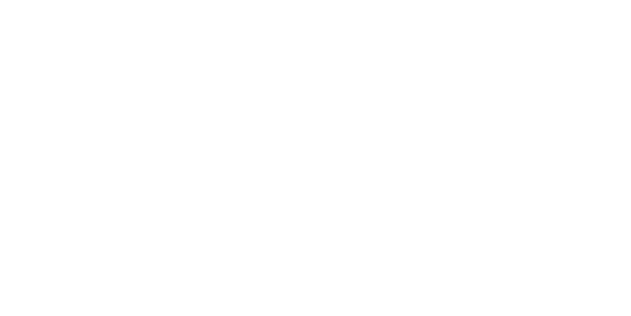نواندیشان پارس 
